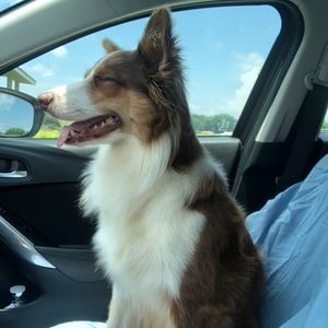 Meet your Posher, Logan